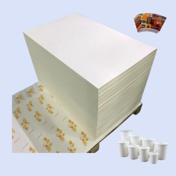Raw Material Pe Coated Paper in Sheet Supplier in China