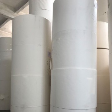 Good quality Coffee cups  Food grade PE coated cup row material paper roll Disposable PE coated for making paper cup