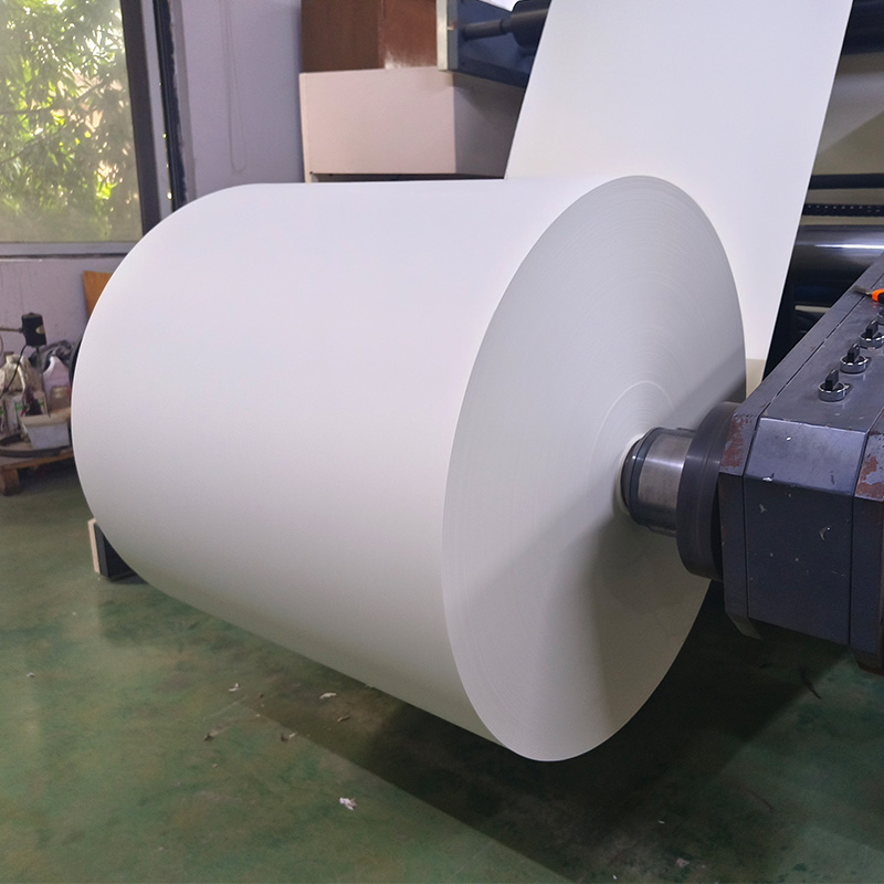 PE COATED PAPER CUP ROLL (1)