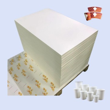 Raw Material Food Grade Single Side Pe Coated Paper 100% Virgin Wooden Pulp Pe Coated Paper in Sheet
