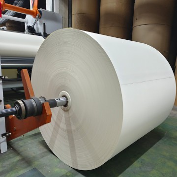 PE Coated Paper Roll for Cups and Food Packaging
