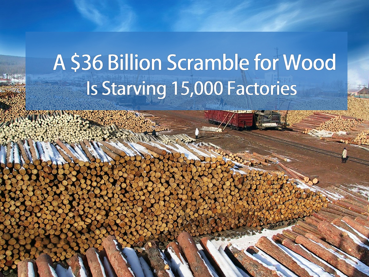 $36 Billion Capital Rush for Wood Reshapes Paper Industry: What It Means for Paper Cup Paper Suppliers