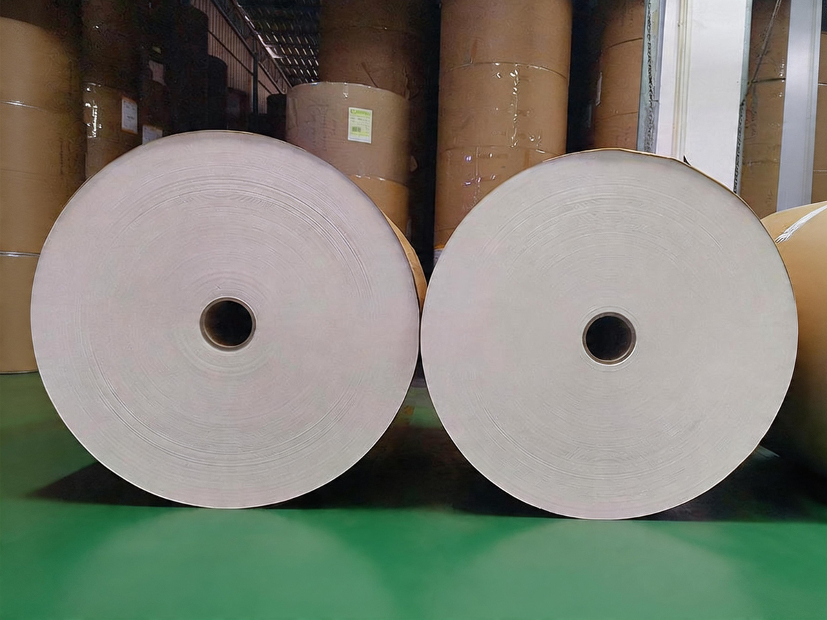 PE Coated Kraft Paper: Applications, Advantages & Guide to Food Packaging Board