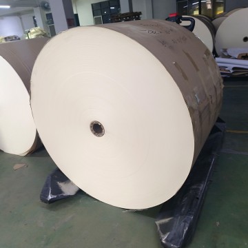 ECO Friendly High Quality Wood Pulp Production Food Grade Coating paper cup Rolls Raw Materials Pe Coated paper cup Roll