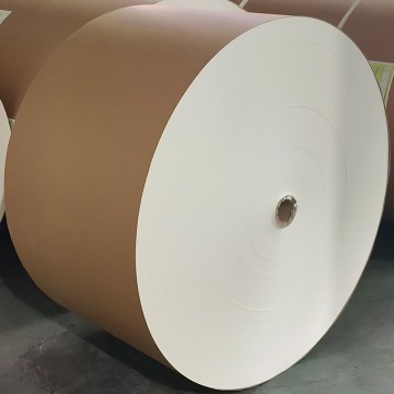 Manufactured Top quality 150-350 gsm PE coated paper roll for Beverage cups and bowls, available in various brands and bulks