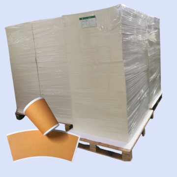 Raw Material Pe Customized Size Paper in Sheet PE Coated Paper for Disposable Paper Cup