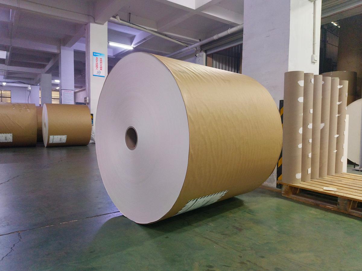 PE Coated Paper vs PLA Coated Paper: Key Differences and Which One Suits You Better