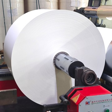Manufactured Professional Paper Cup Coated Virgin Pulp Roll Double Sided PE High Quality Waterproof Raw Material