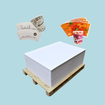 Raw Material Food Grade Single Side Pe Coated Paper 100% Virgin Wooden Pulp Pe Coated Paper in Sheet